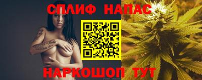 дурь Кингисепп