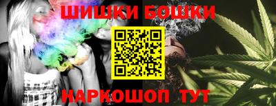 дурь Кингисепп