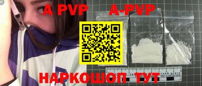 дурь Кингисепп