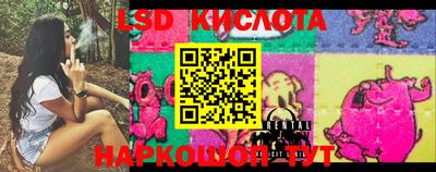 дурь Кингисепп