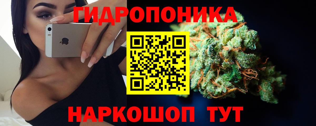 Каннабис сатива  Вход с VPN  Канабис конопля  Конопля семена  Котельники 